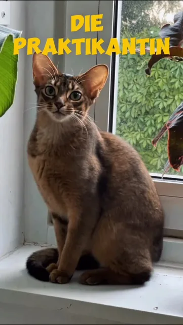 V2 diesmal mit Praktikantin Kiki.