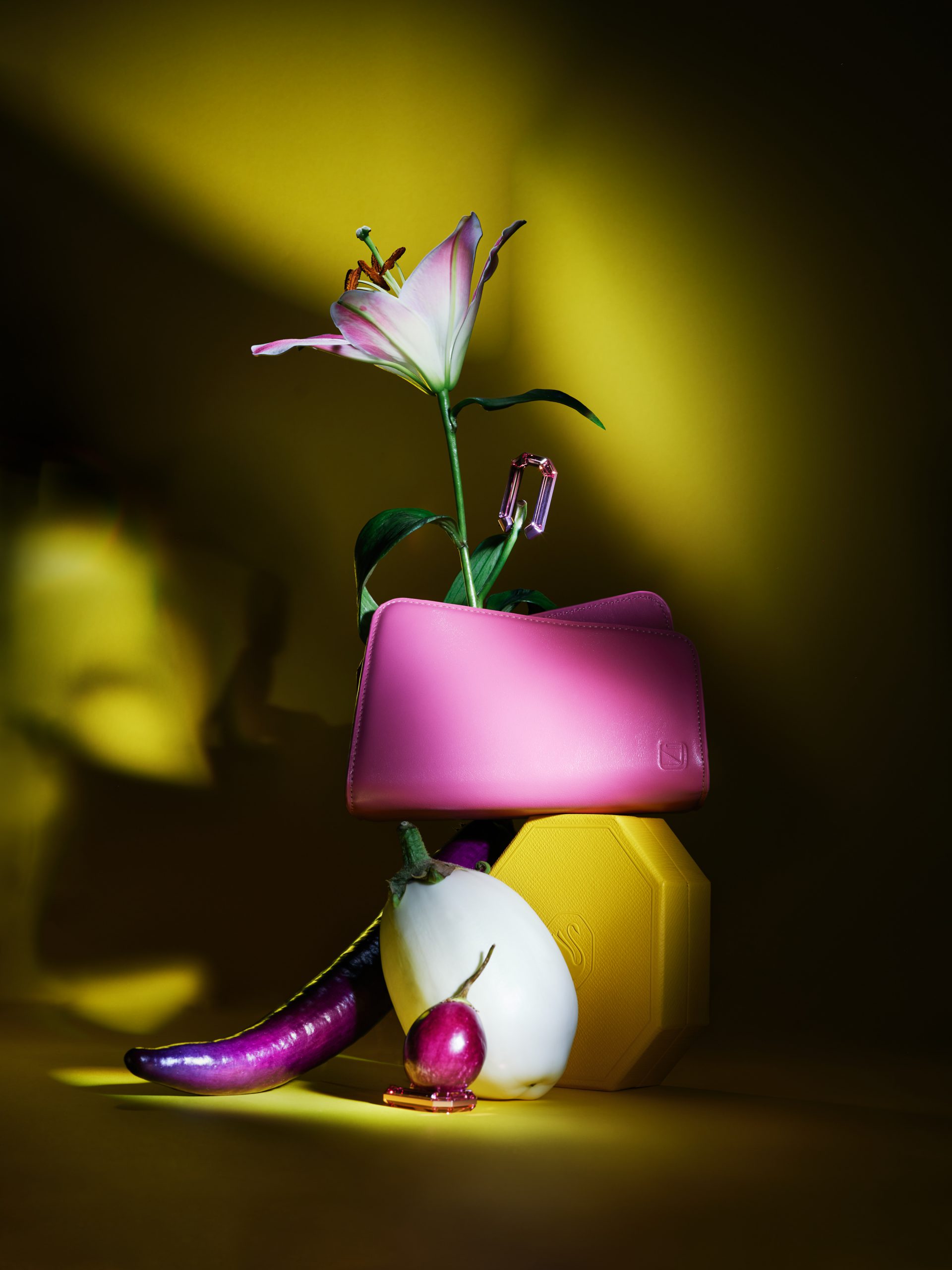 A stilllife photo with different vegetables, a Yuzefi handbag and Swarovski earrings.